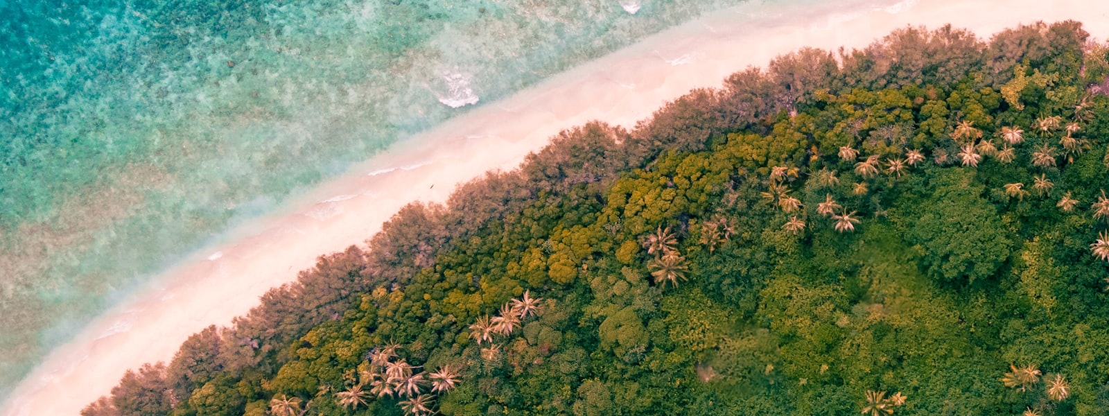 life-sim header